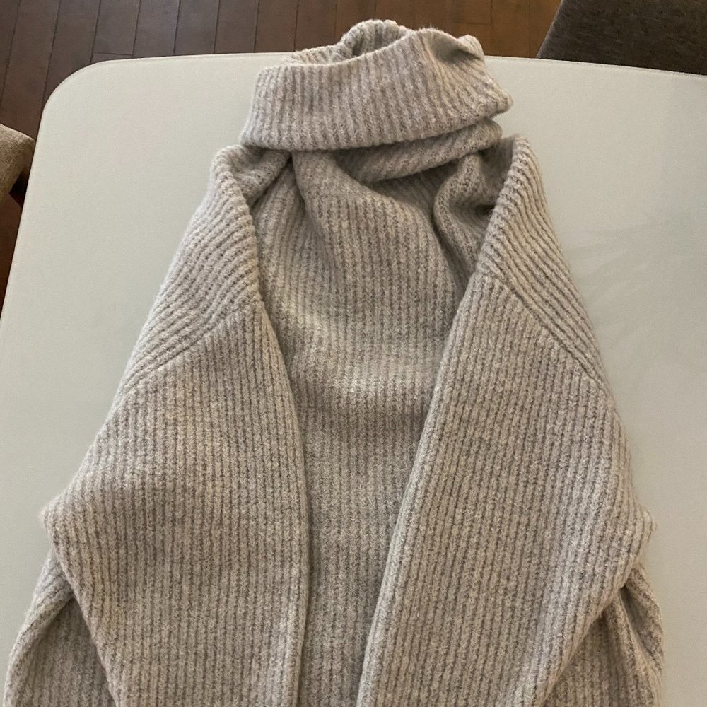 Zara Oversized Turtleneck Sweater Dress